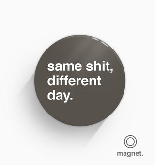 "Same Shit, Different Day" Fridge Magnet