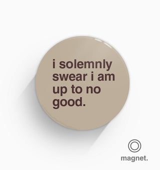 "I Solemnly Swear I Am Up To No Good" Fridge Magnet