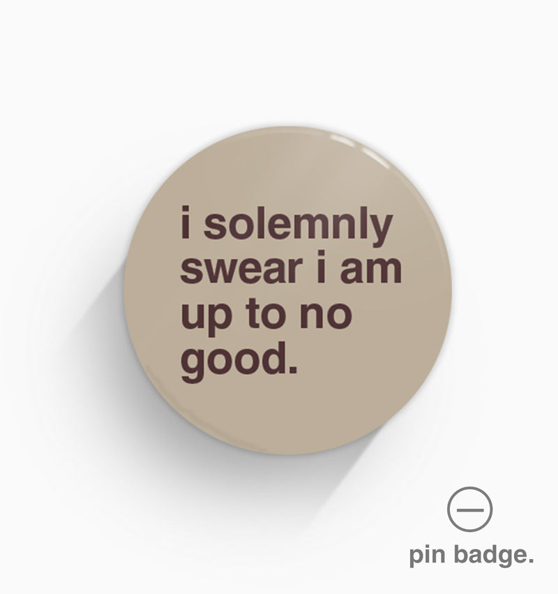 "I Solemnly Swear I Am Up To No Good" Pin Badge